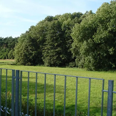 Modern In Friedland Near Lake *